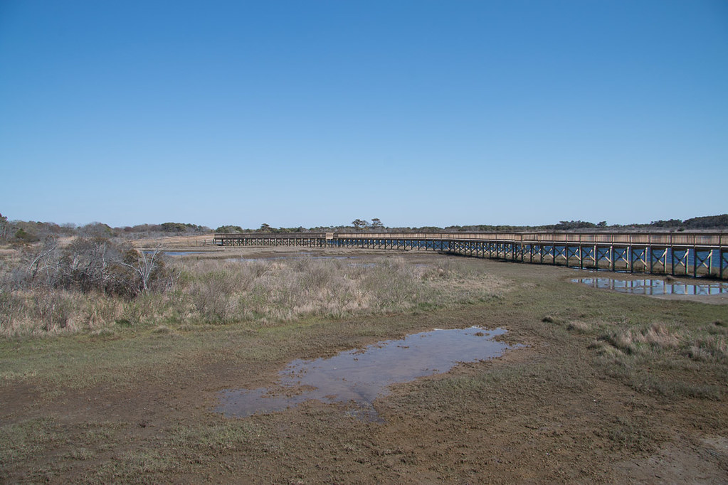 Life of the Marsh Trail at Assateague