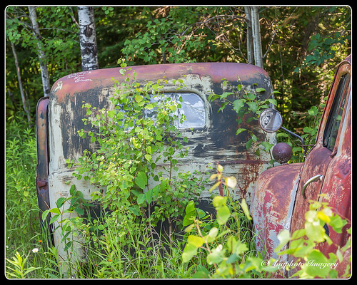 old abandoned minnesota truck unitedstates rusty weathered alborn augphotoimagery