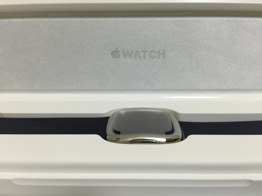Apple Watch Modern Buckle