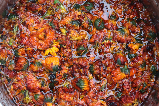 Natural Dyeing with Marigolds