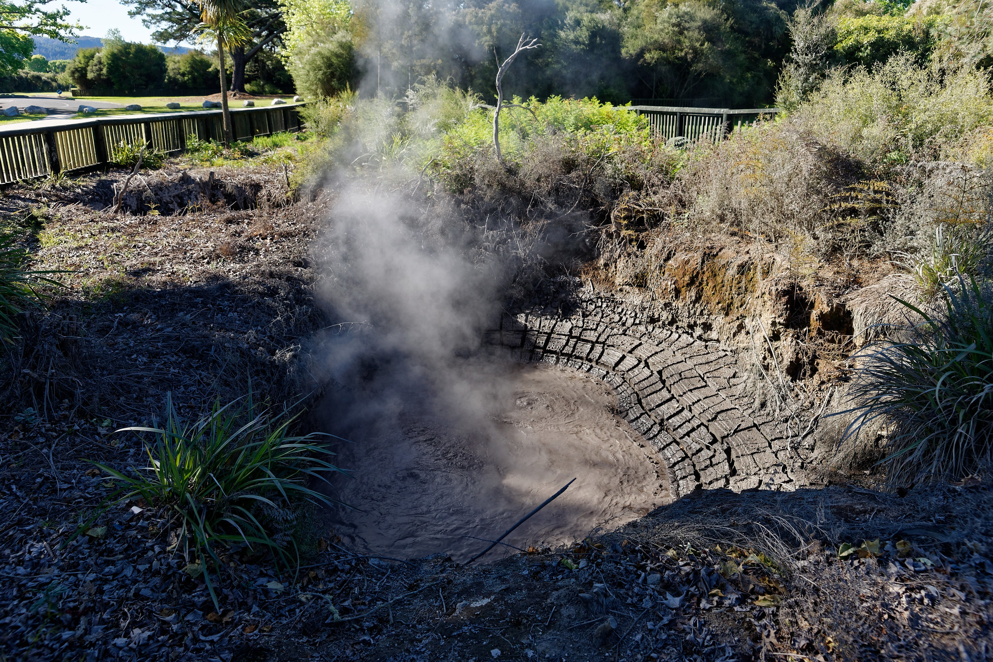 Geothermal Activity - Rotorua
