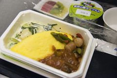 Airline Meal, ANA