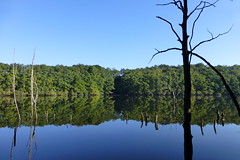 Forêt engloutie - Photo of Masléon