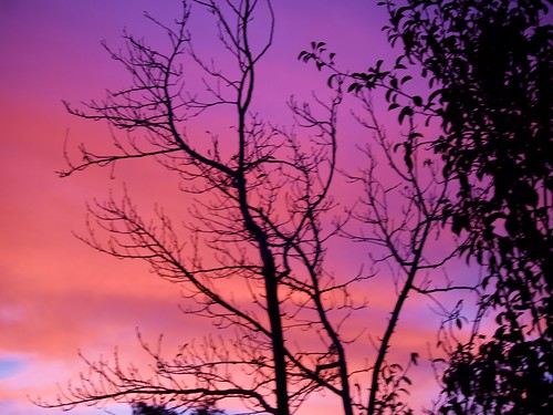 sunset sky clouds plumtree 2015 shellstreet