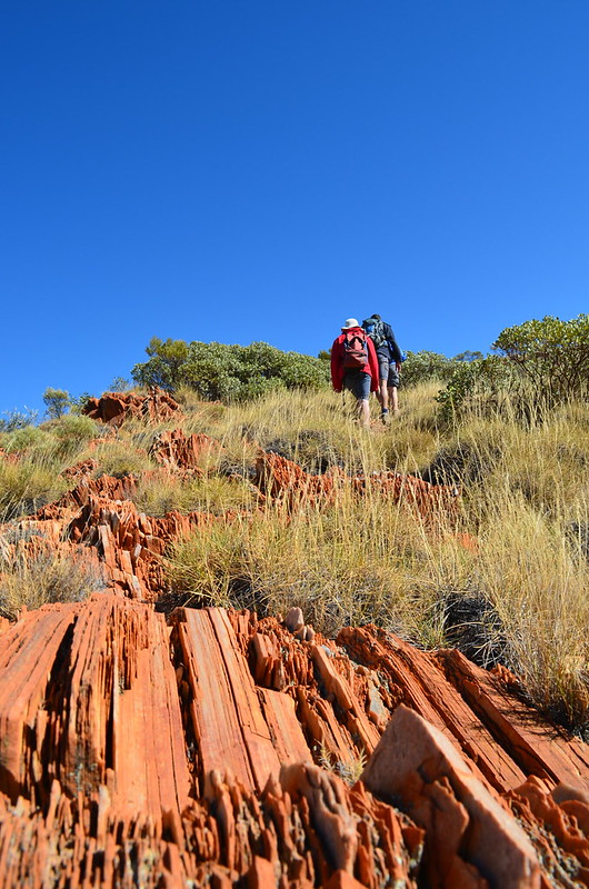 Geology - Larapinta Trail