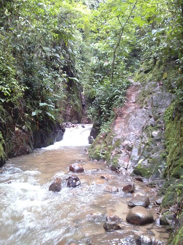 rio forest trekking river waterfall selva perú jungle caminata catarata junín lamerced 2015 chanchamayo selvacentral selvaalta