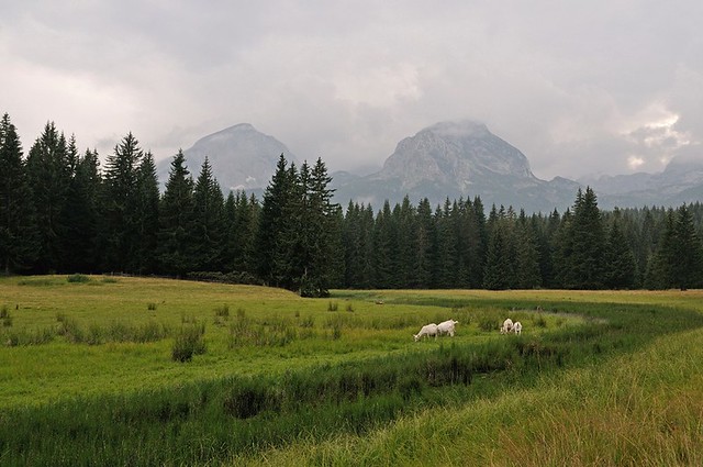 Черногория. Горы и монастыри. август 2009