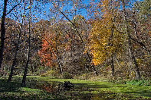 water autumn naturalfallsstatepark fall d3200 oklahoma nature colcord unitedstates us
