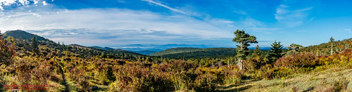 summer panorama usa nature sunrise landscape geotagged outdoors photography virginia unitedstates hiking backpacking hdr fairwood mouthofwilson rhododendrongap geo:country=unitedstates camera:make=canon mountrogersnationalrecreationarea exif:make=canon geo:state=virginia exif:focallength=18mm tamronaf1750mmf28spxrdiiivc exif:lens=1750mm exif:aperture=ƒ14 exif:isospeed=200 canoneos7dmkii camera:model=canoneos7dmarkii exif:model=canoneos7dmarkii geo:location=fairwood geo:lon=81522221666667 geo:city=mouthofwilson geo:lat=36654166666667 geo:lat=3665461000 geo:lon=8152018833 geo:lat=3665399500 geo:lat=3665406667 geo:lon=8152212000 geo:lon=8152216500