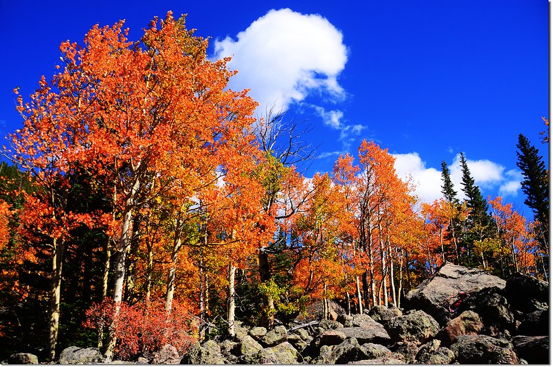 2015 Rockies in Fall, Bear Lake Area (25)