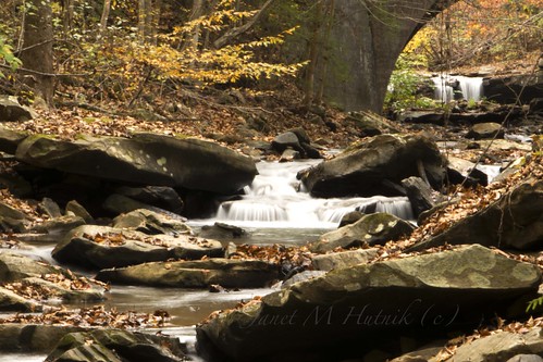 autumn trees fall leaves creek waterfall westvirginia drawdyfalls