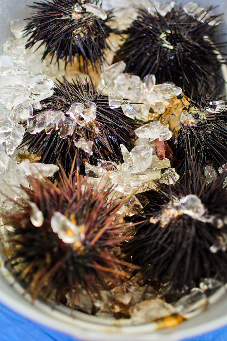 Poppa's Fresh Fish - Eating Fresh Sea Urchin at Hillcrest Farmers Market San Diego.