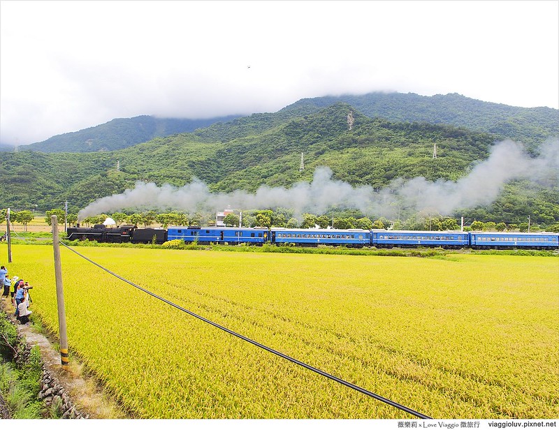 台東景點,稻田,蒸氣老火車 @薇樂莉 - 旅行.生活.攝影