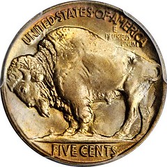 1919 Buffalo Nickel reverse