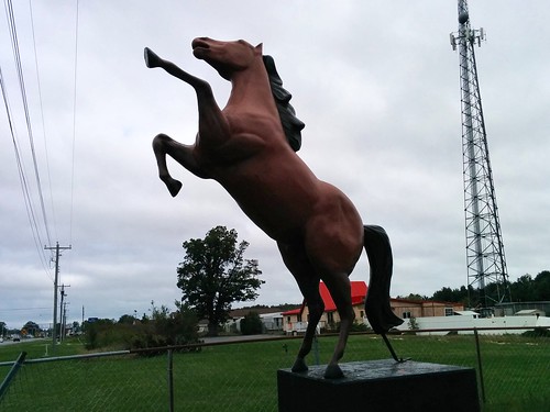sculpture horse de chicks harrington