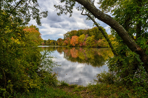 autumn trees sky lake tree art fall nature water leaves clouds reflections season landscape photography pond artist fineart framing walldecor naturephotography landscapephotography naturephoto landscapephotos autumnseason landscapephotographer landscapephoto landscapepictures landscapefineart landscapefineartphotography