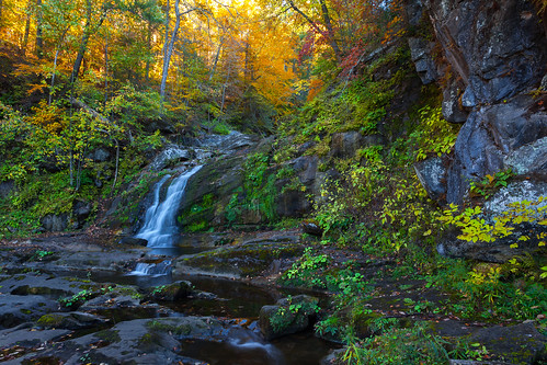 autumn forest waterfall afternoon freshwater