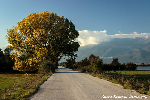 road mountain tree green canon landscape outdoor greece t3i kerkini ef35350mmf3556lusm