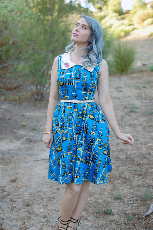 Junebugs Dress in Birdcage Print in Blue