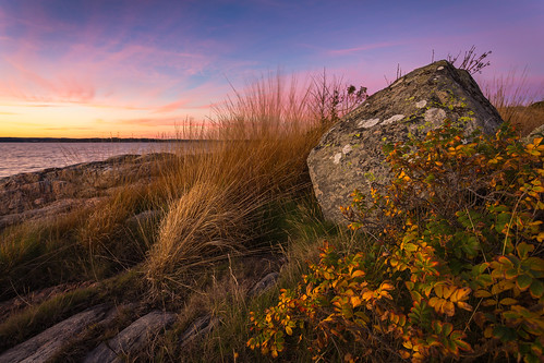 ocean autumn sunset sky orange fall water colors grass yellow rock stone canon evening coast purple sweden rosehip 6d canon6d