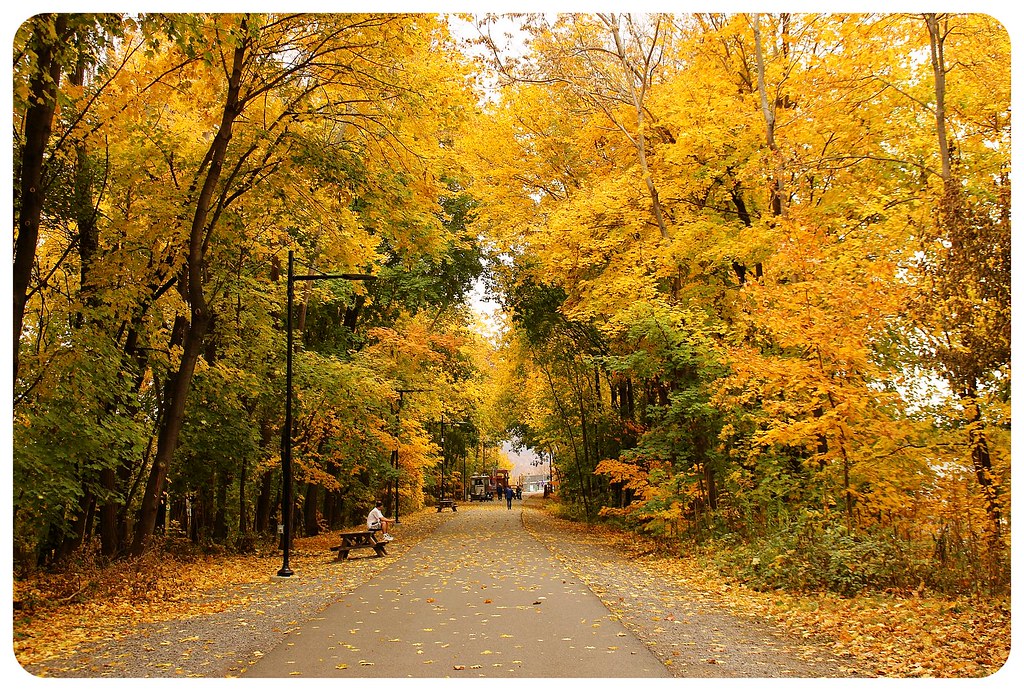 poughkeepsie autumn colors hudson river walkway
