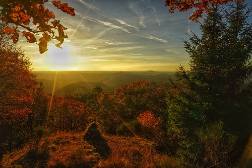 herbstwald herbstwanderung autumn panorama wald germany deutschland eifel sunset sun fall leaves