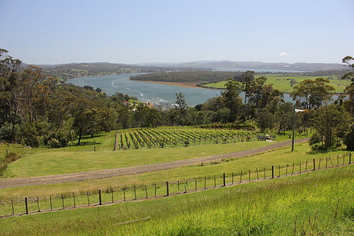 travel green river view wine australia vineyards valley tasmania tamar