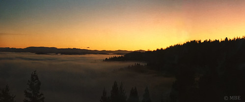 1986 sunrise mendocino mbe america california usa trees forest dawn mist mountains valley redwood 35mm