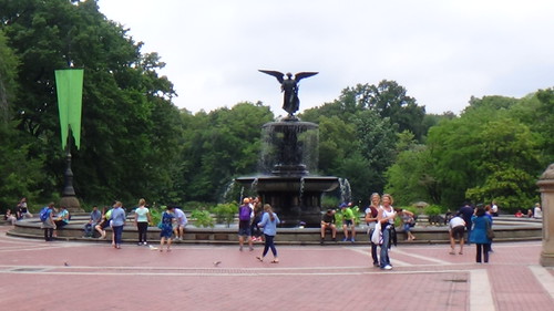 New York Central Park Aug 15 (16)