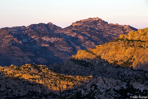 morning light arizona mountains sunrise desert tucson catalinamountains windypoint skyislands canonrebelt4i