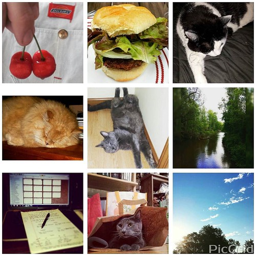 My 2015 favorites, part 6. #2015faves