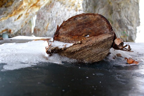 winter tree ice frozen log mine quebec ottawa photowalk cave wallingford mulgraveetderry wallingfordbackmine eos600d canont3i mulgraveandderry brownknowser