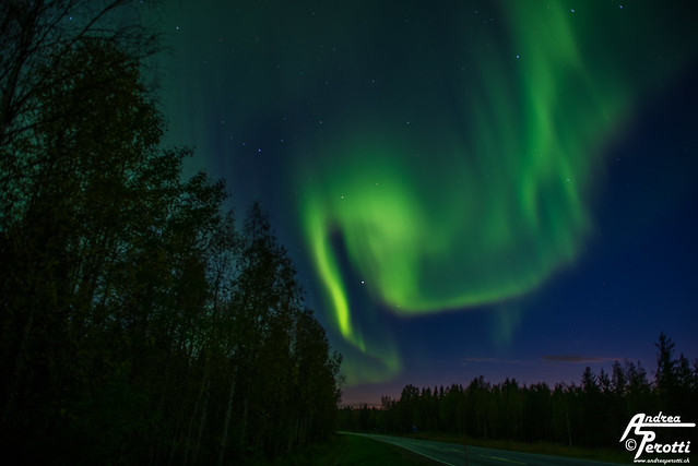 Rovaniemi Aurora Boreale
