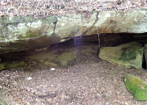 mississippi natcheztrace cavespring
