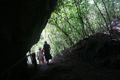 42 - Los Haitises national park - Cueva de la linea - Cave exit / Los Haitises Nationalpark - Cueva de la linea - Höhlenausgang