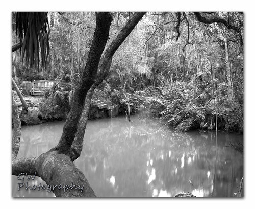 water canon landscape florida scenic adobe manfrotto centralflorida volusiacounty greenspringspark canon7d gwphotography photoshopelements13 canon28mmf18efusm