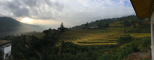 bhutan sunrise valley ricefield terrace