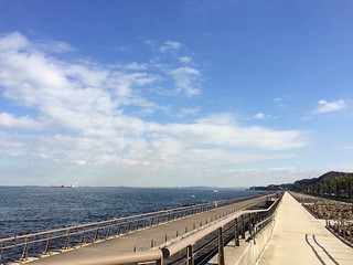 [2015/12/28] LSD (久里浜～八景島)
