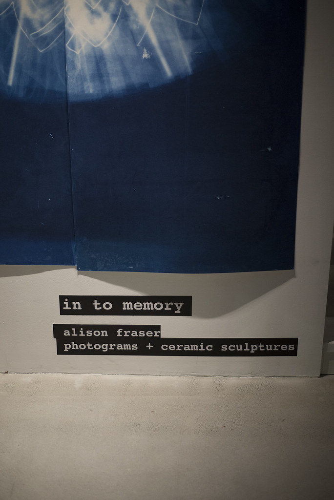 Alison Fraser x St Cloche Gallery