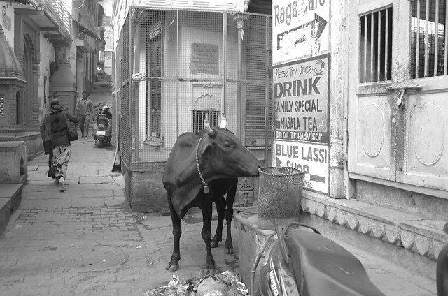 Varanasi (India). 28 Dec 2015