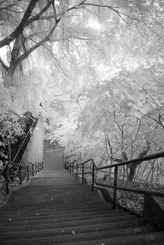 infrared snaps