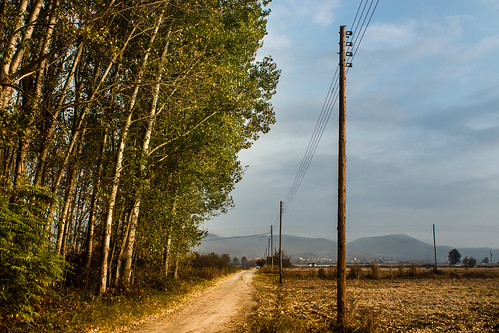 road wood november blue autumn trees sky plant green field grass weather electric clouds rural season landscape countryside outdoor path walk pillar route greece wires serene kilkis makedoniathraki ilobsterit