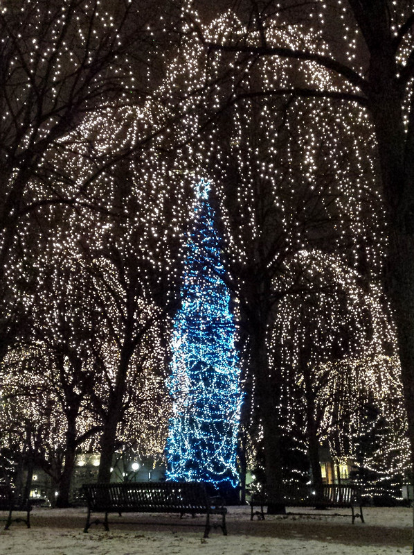 the tall, skinny blue tree with white lights in the foreground