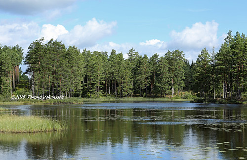 lake landscape geotagged sweden schweden småland sverige suecia sjö suède tommyajohansson orranässjön