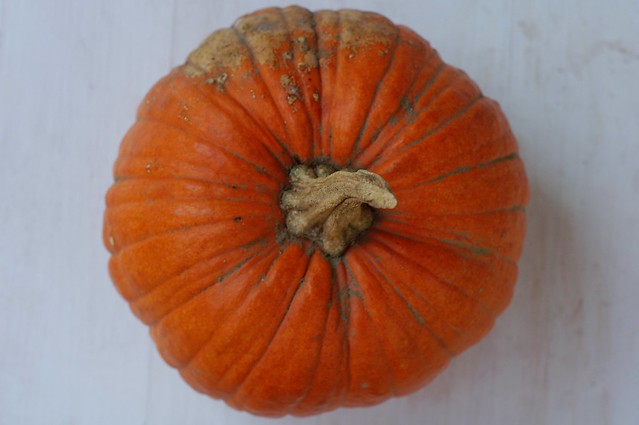 Sugar pie pumpkin by Eve Fox, Garden of Eating blog, copyright 2011