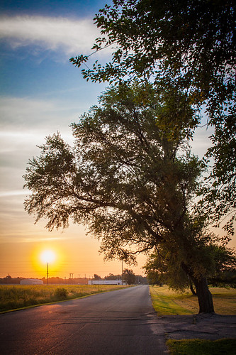 road sky sun tree sunrise us unitedstates kansas wichita 500px