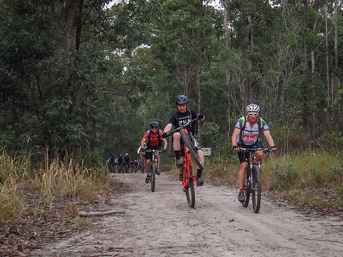 Riding  Through the Forest