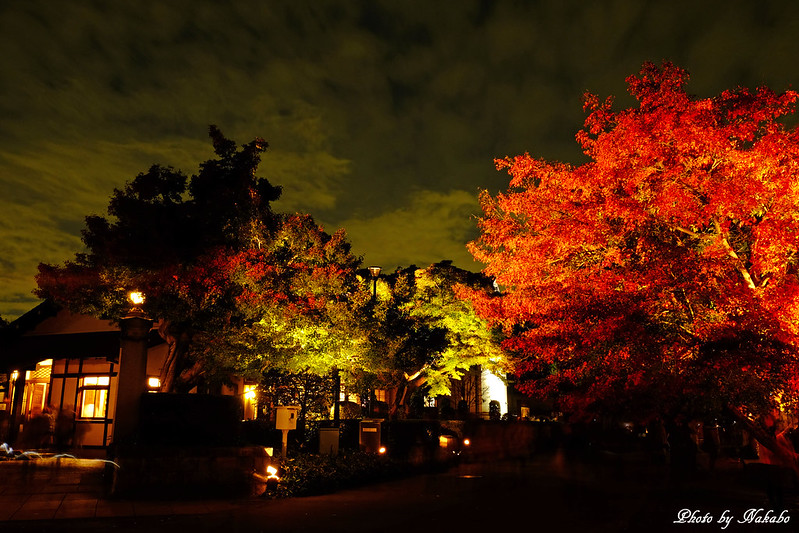 紅葉とたてもののライトアップ2015 by Nakabo