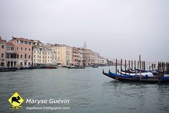 Venise 2015