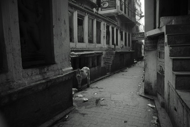 Varanasi (India). 25 Dec 2015